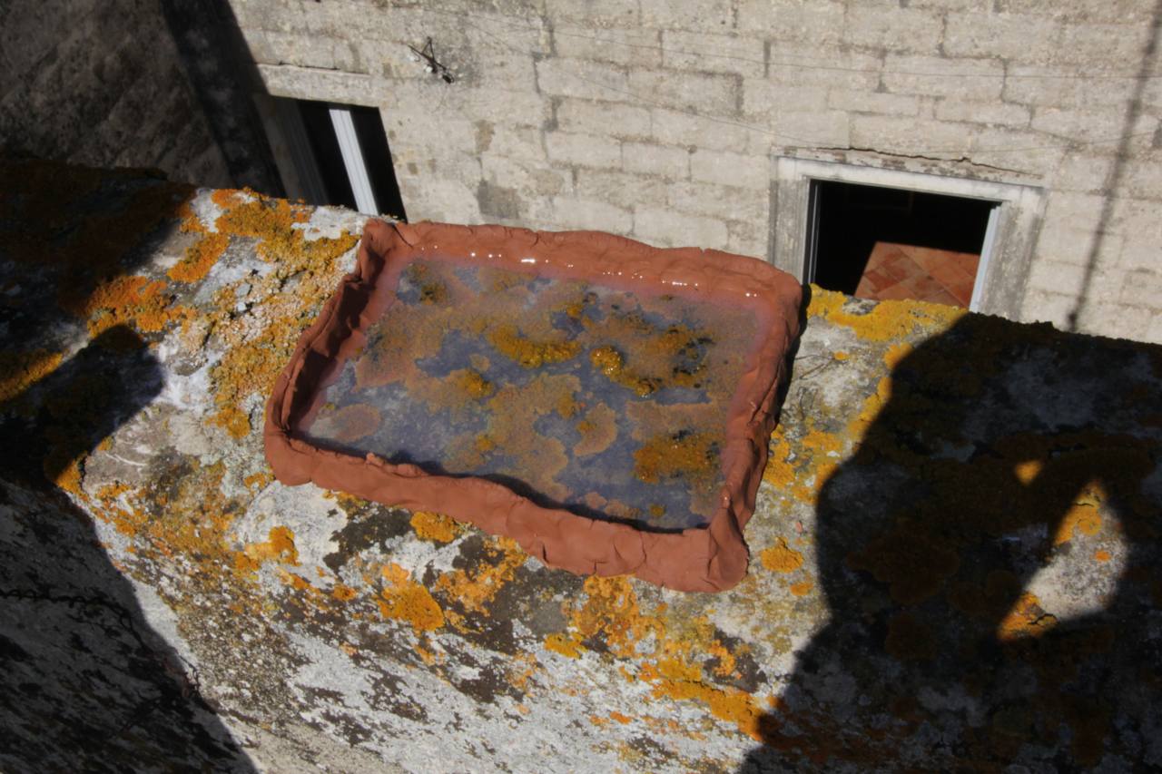 sampling lichens from the Lecce stone at the Palazzo Russo in San Cesario