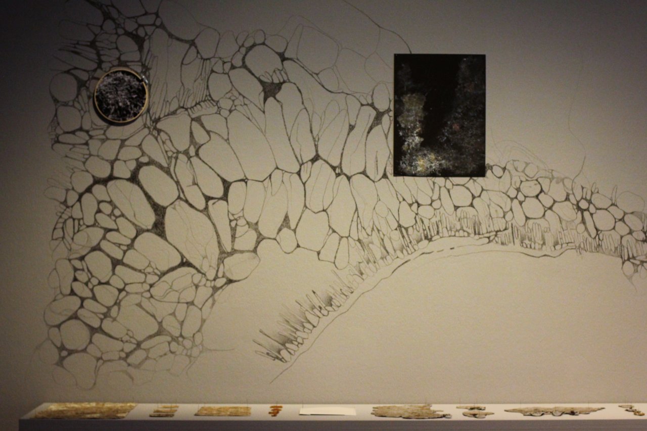 installation with objects on table and wall drawing by Elena Redaelli