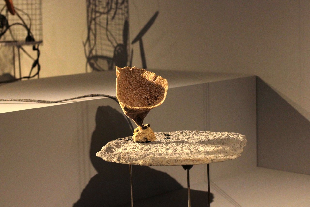 detail of the Rogues installation by Nayarí Castillo and Hanns Holger Rutz