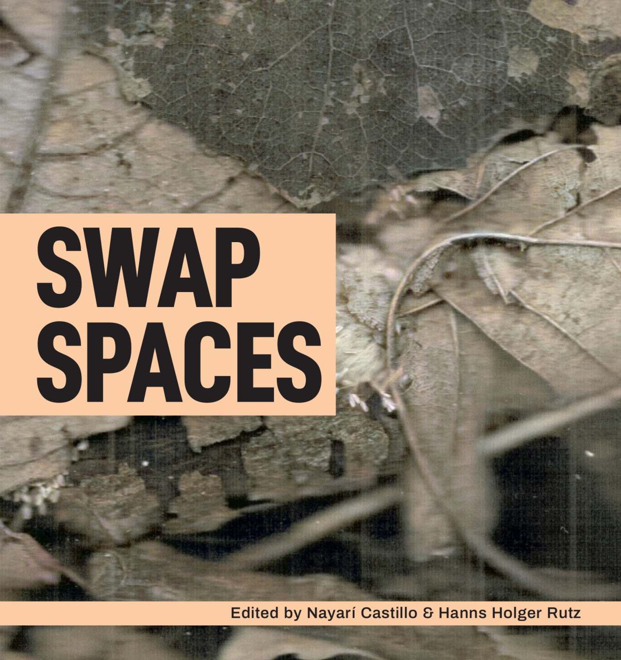 Swap Spaces cover